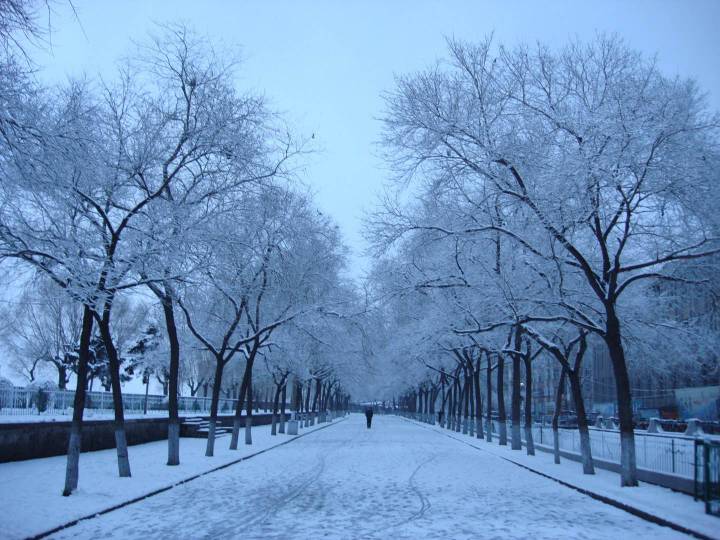 130311olk28zuxqjqz0893.jpg