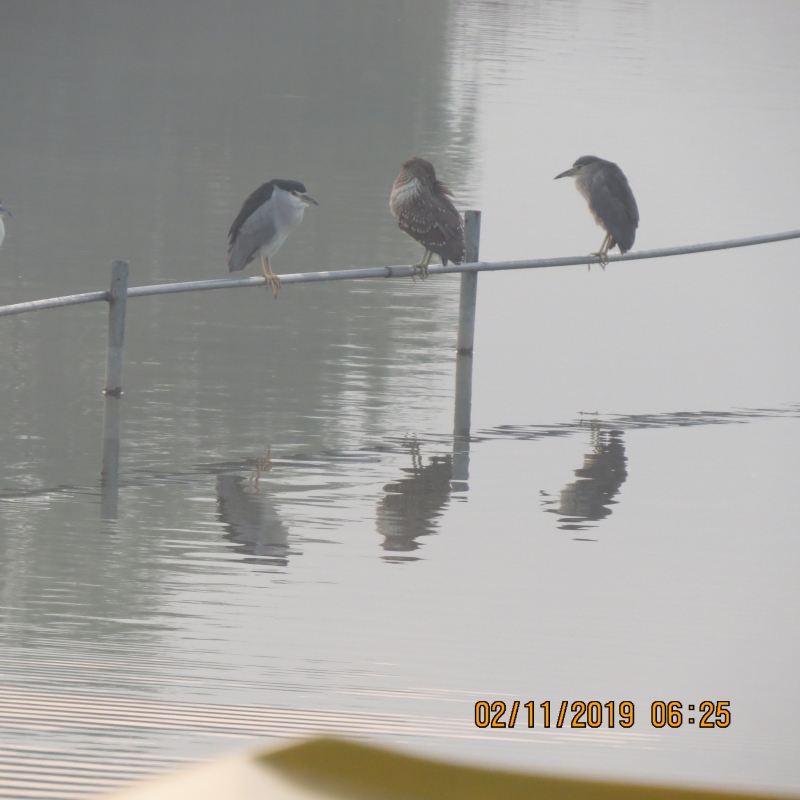 IMG_9431.JPG