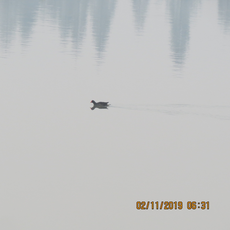 IMG_9439.JPG