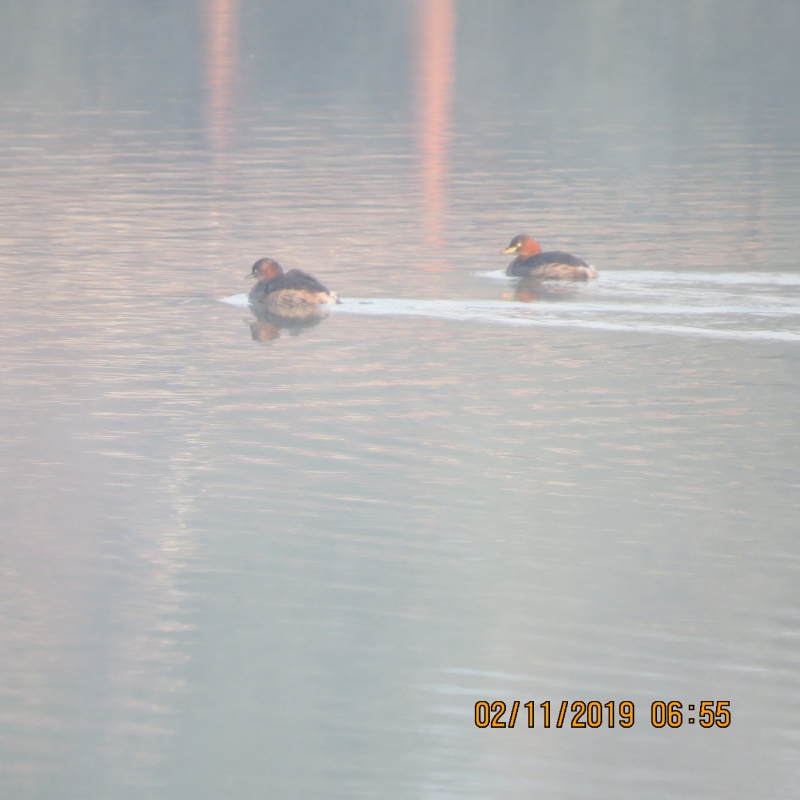 IMG_9472.JPG