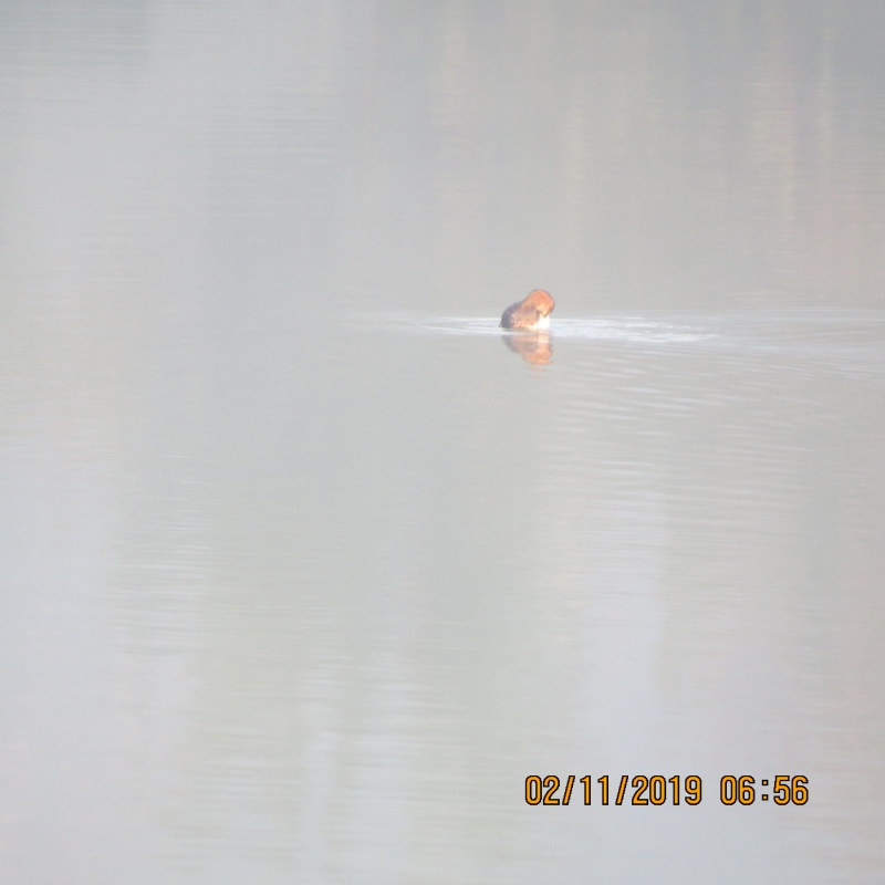 IMG_9473.JPG