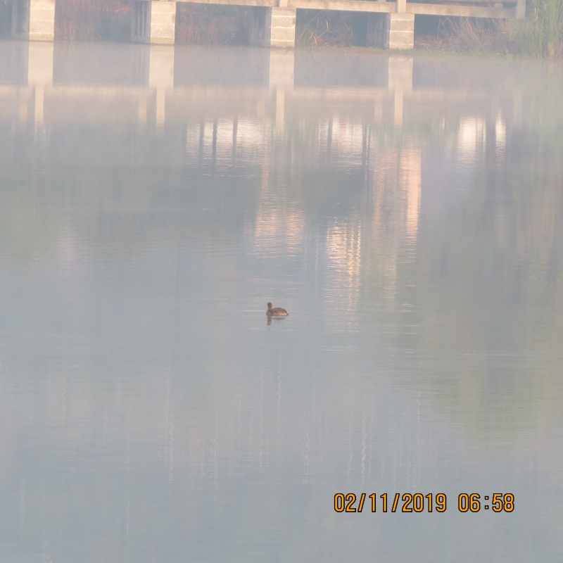 IMG_9476.JPG