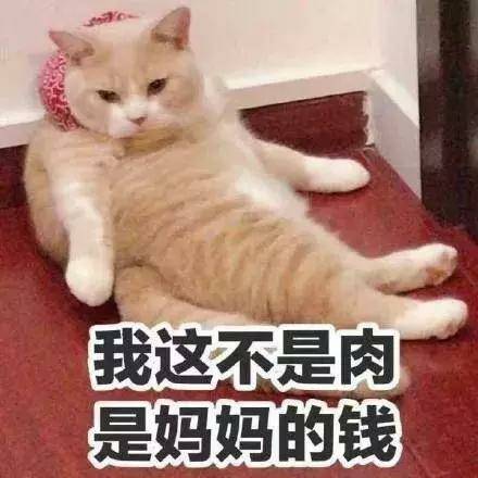 122601jhtl9gdlmxybnvbb.jpg