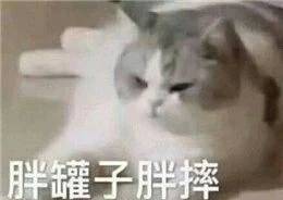 081611ph4u15hnk1bgnpzk.jpg