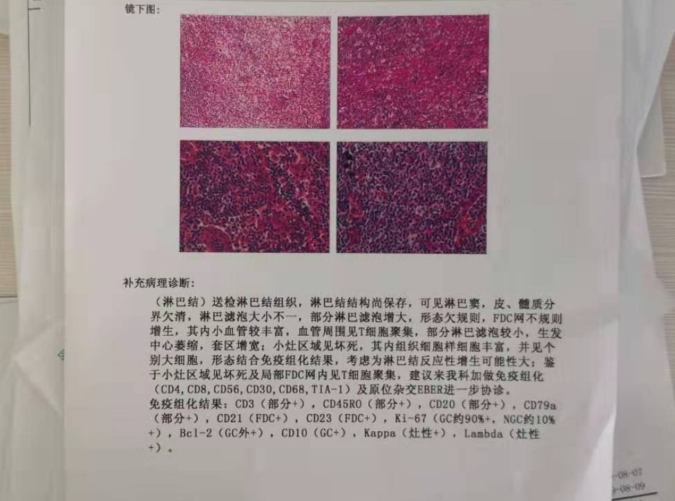 085220iywada673928zwz9.jpg