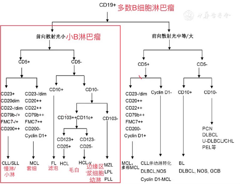 153246ucovstodc6v6hdh2.jpg