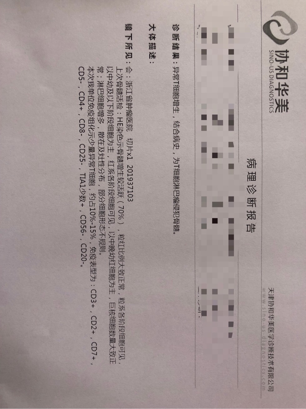 104935jhmy3lsdhxhxgdmd.jpg