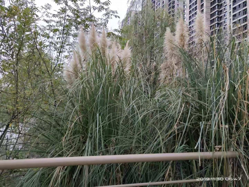微信图片_20191130104032.jpg