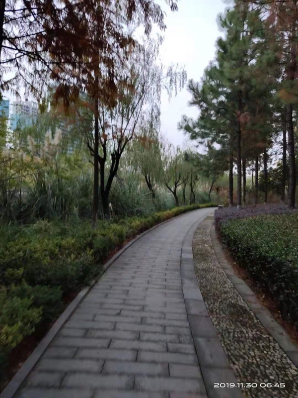 微信图片_20191130104008.jpg