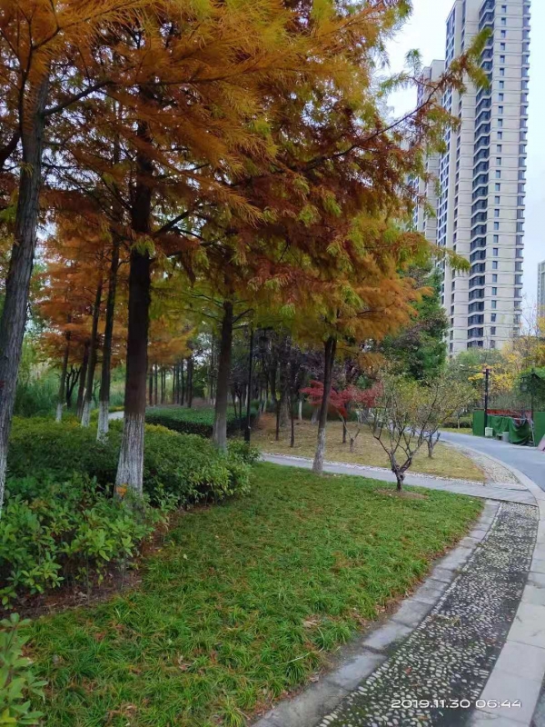 微信图片_20191130103944.jpg