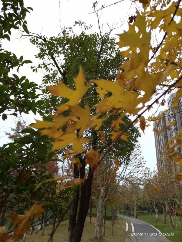 微信图片_20191130104223.jpg