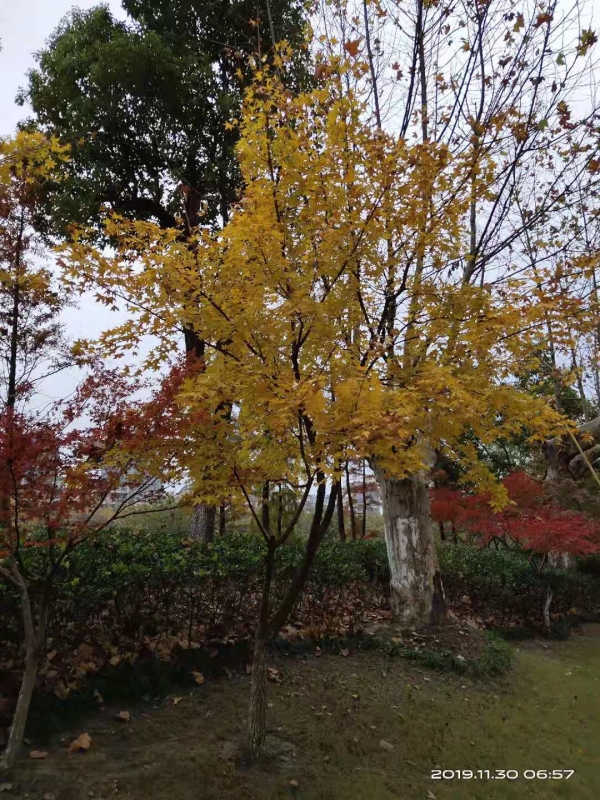 微信图片_20191130104231.jpg