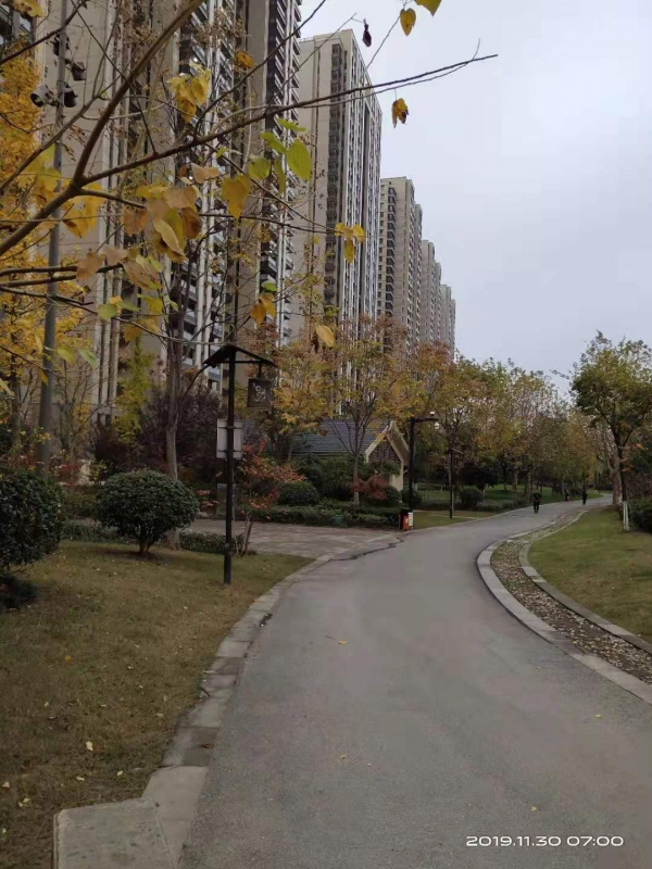 微信图片_20191130104326.jpg