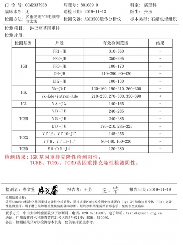 基因分子诊断报告.jpg