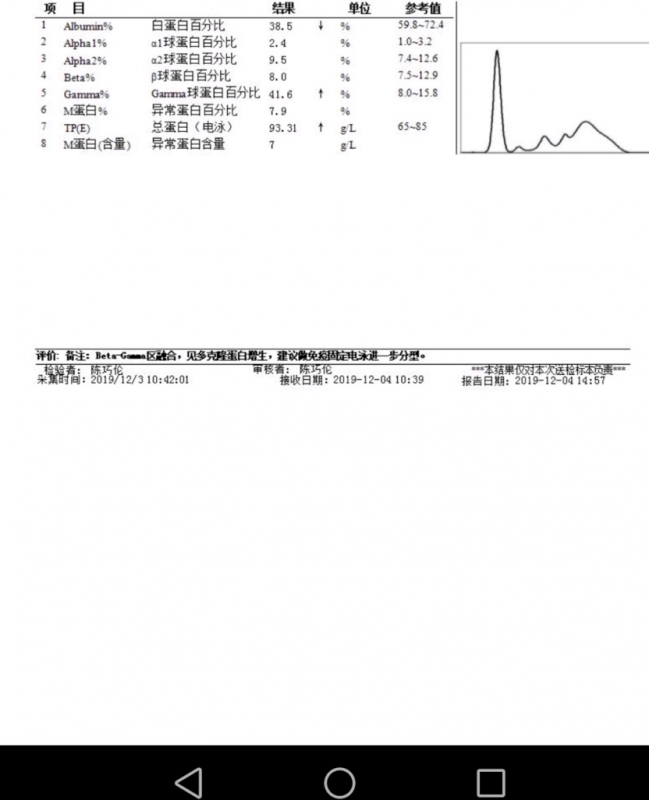 血清蛋白电泳.jpg