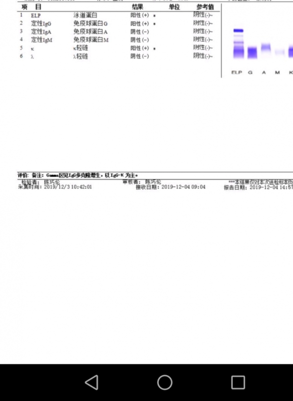 血清免疫固定电泳.jpg