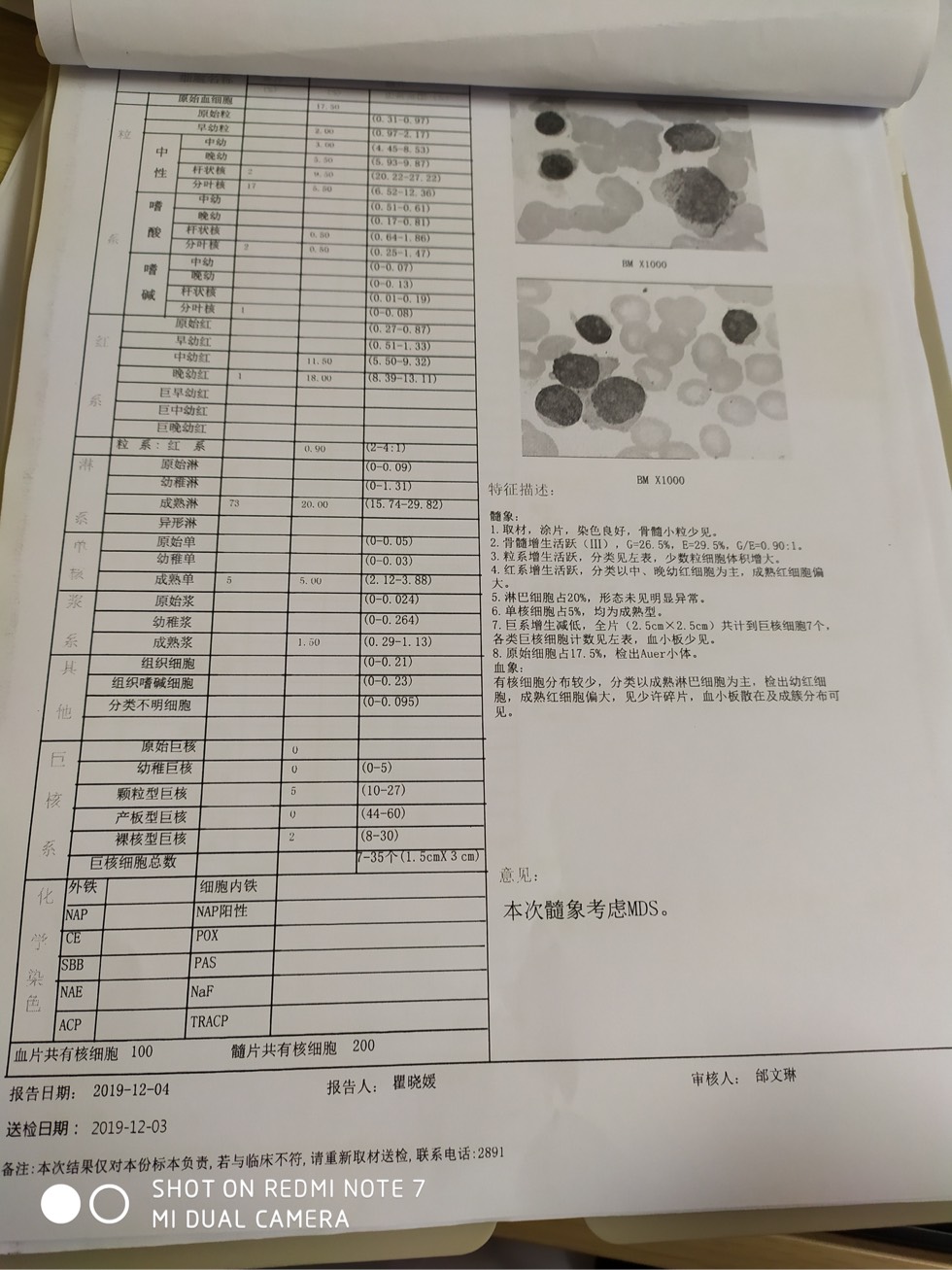 114151je6spi8shj6pdplz.jpg