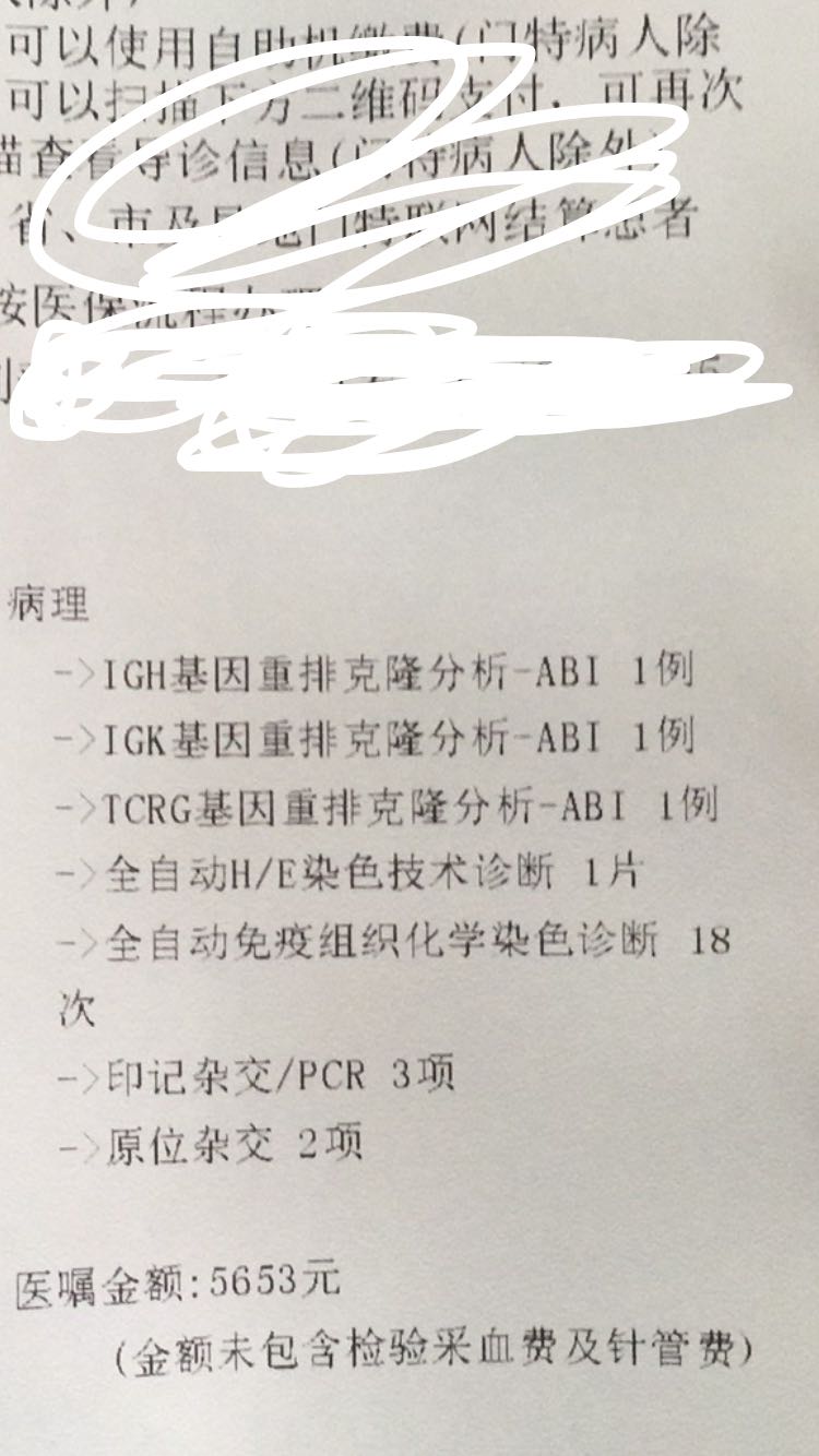 113130bmazqxprmcg6i4yh.png