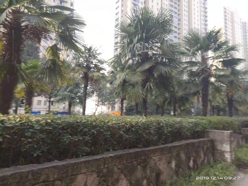 微信图片_20191214103504.jpg