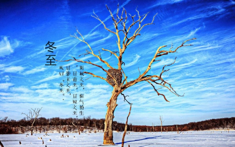 111812sclulfn5nfue00ln.jpg