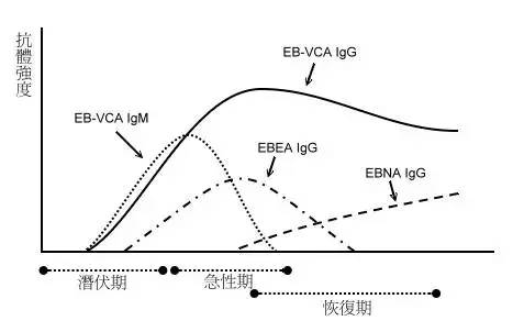 e82ac99f3a4e40538936e24c06de41af_th.jpg