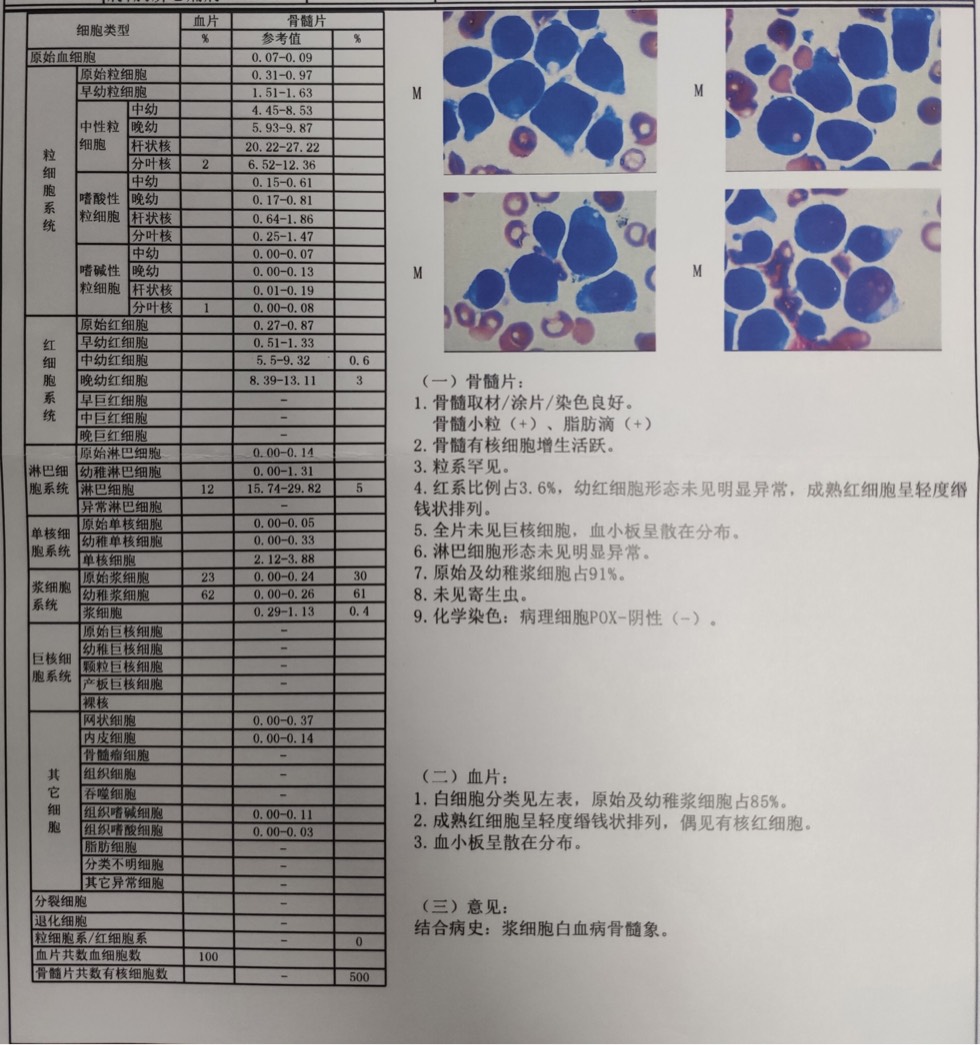 215726usxtsx7p6nxkignx.jpg