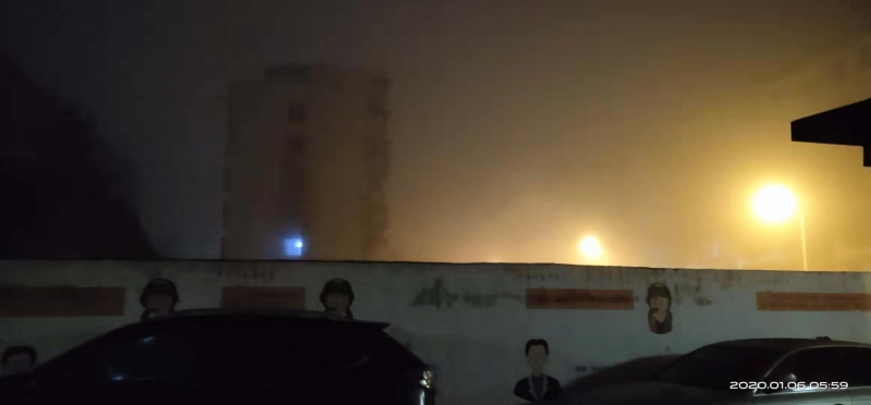 shouhui2020shunianlaoshutuanyuanjucannianyefanchahua_10512811.jpg