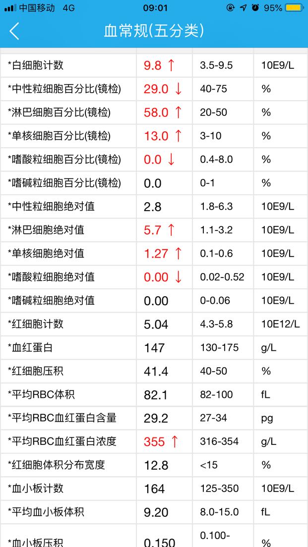 152058g8aw188fh8akp2bh.png