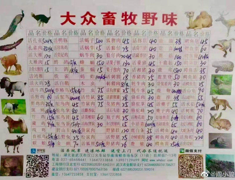 微信图片_20200125071924.jpg