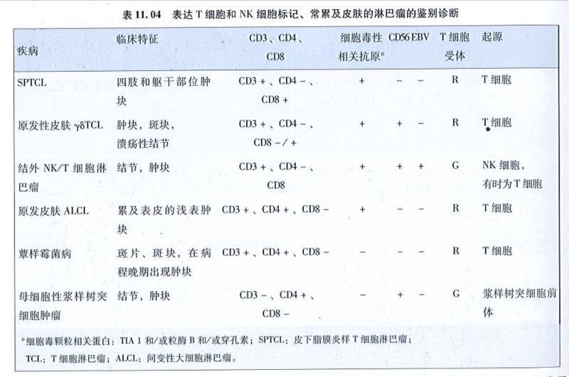 截屏2020-02-10下午1.04.42.png