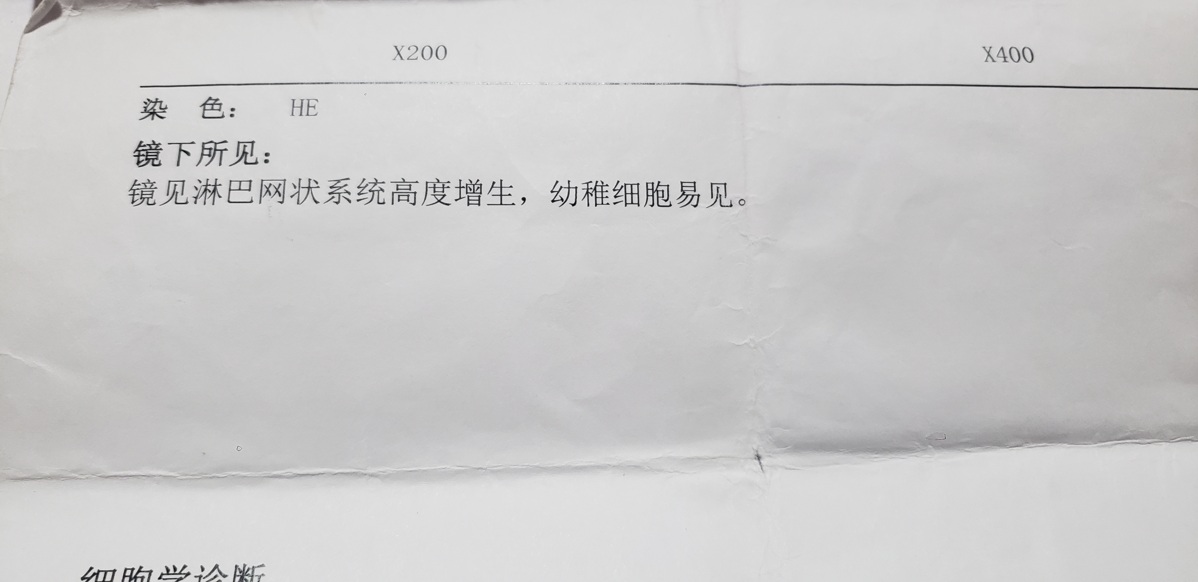 151814teaisaz4w0y9l009.jpg