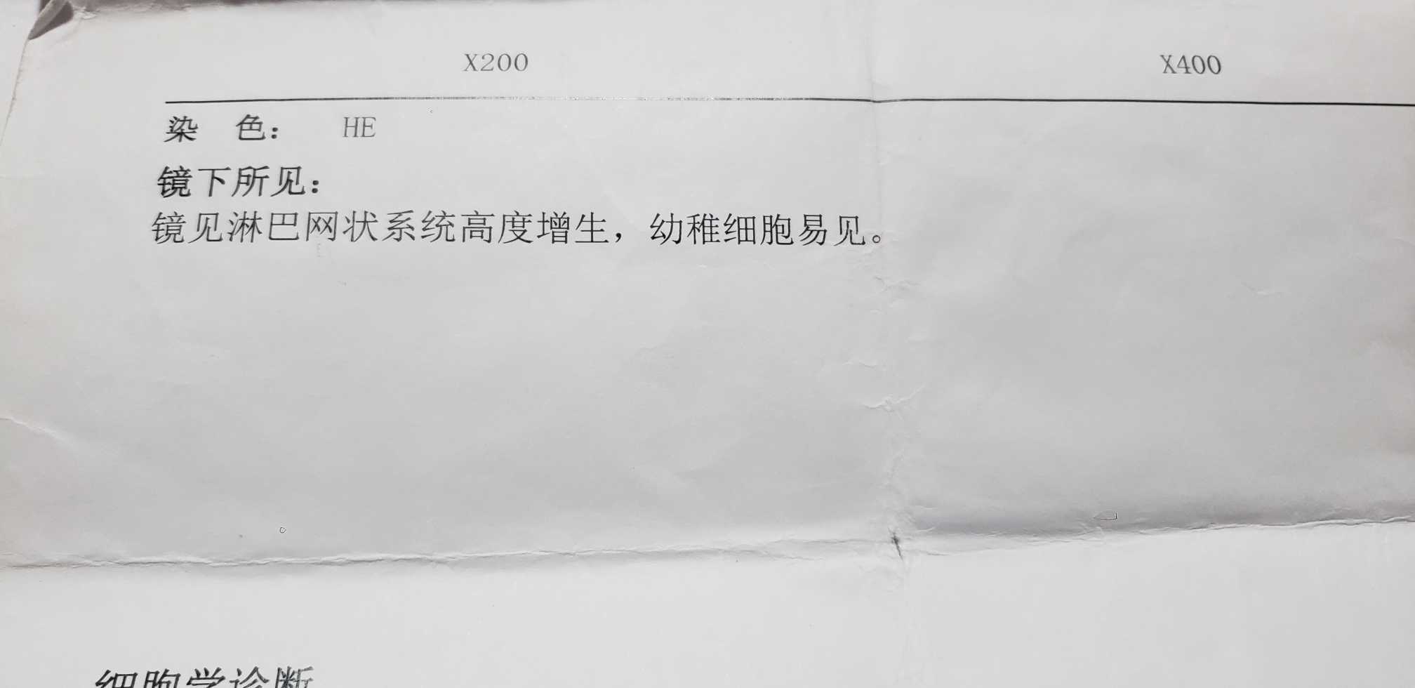 210232h1tyxi58yyi0i7zp.jpg