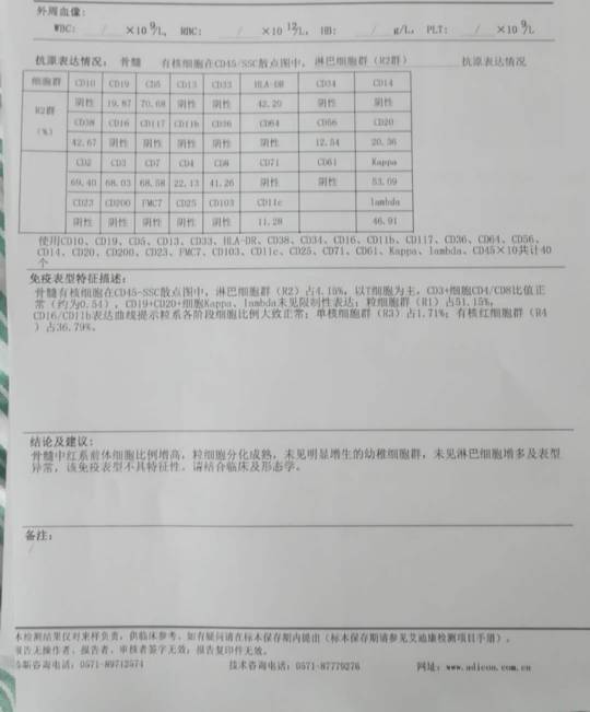 115310i97xudrrnn7rduuu.jpg