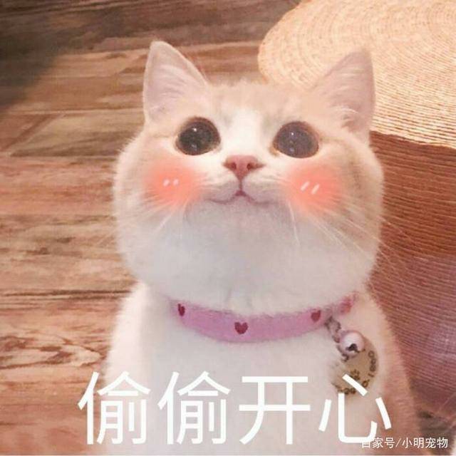 105439xbcghw9955snzyyd.jpg