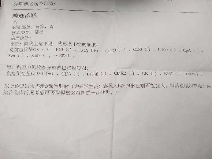 174048jy6kcgjk6ykdbzzj.jpg