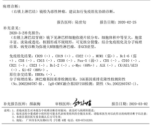 病理报告