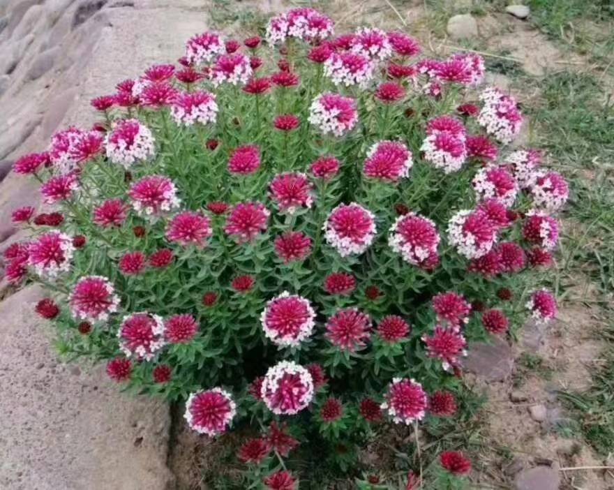 011537xpdixeidjldiw9uy.jpg