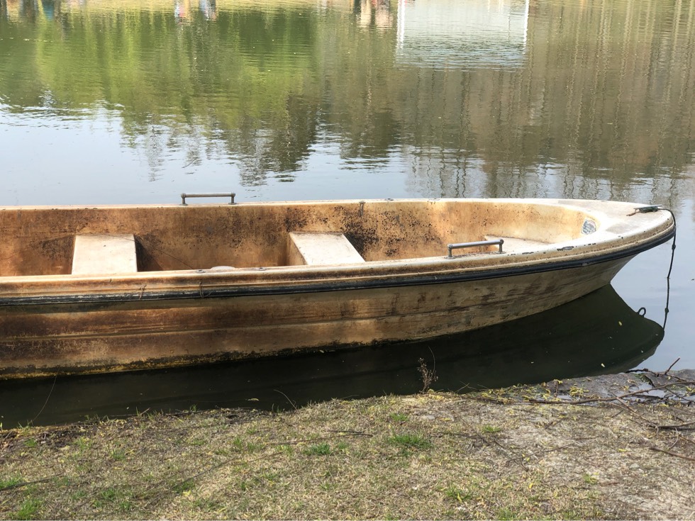 144708qvm8hzjh8dubyftd.jpg