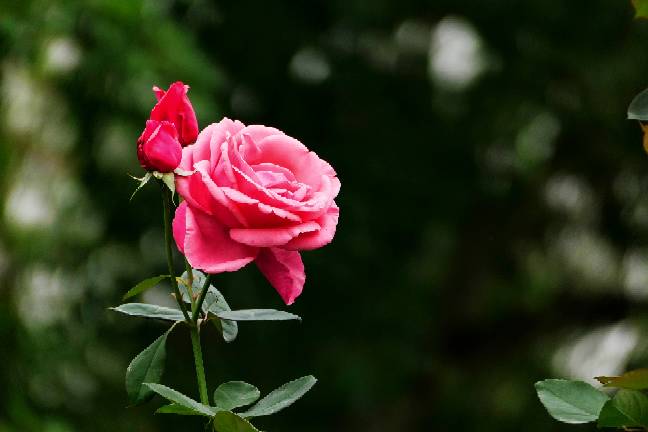 210906fd2ln2952zvj2l9v.jpg