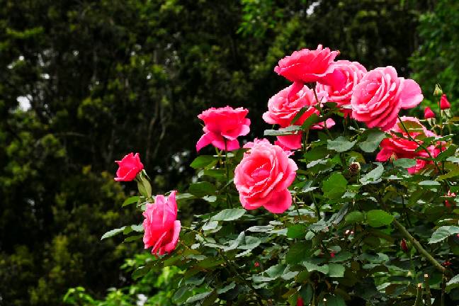210914slt4q3l42lcsdd52.jpg