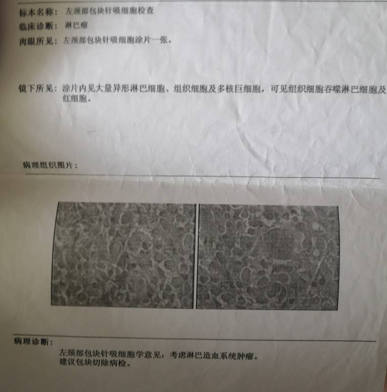 144004vggggkdk36xgvvjg.jpg