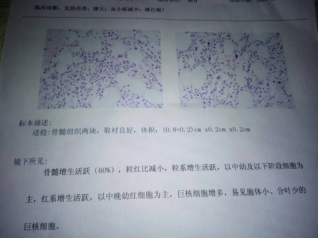 223909vcixcvxy88cx3zqi.jpg