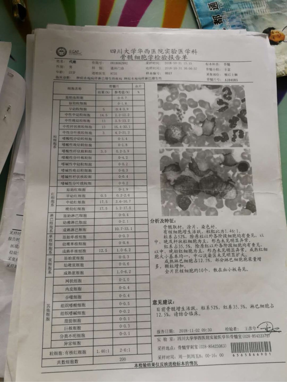 173638gfb8if18irgi67or.jpg