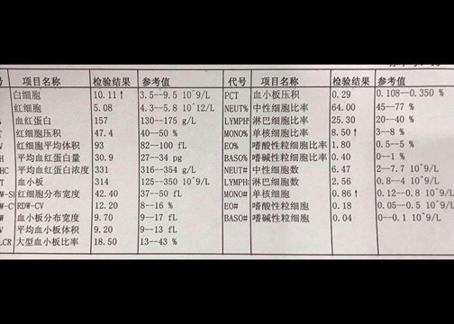 192115dbjmc15rw1515irc.jpg