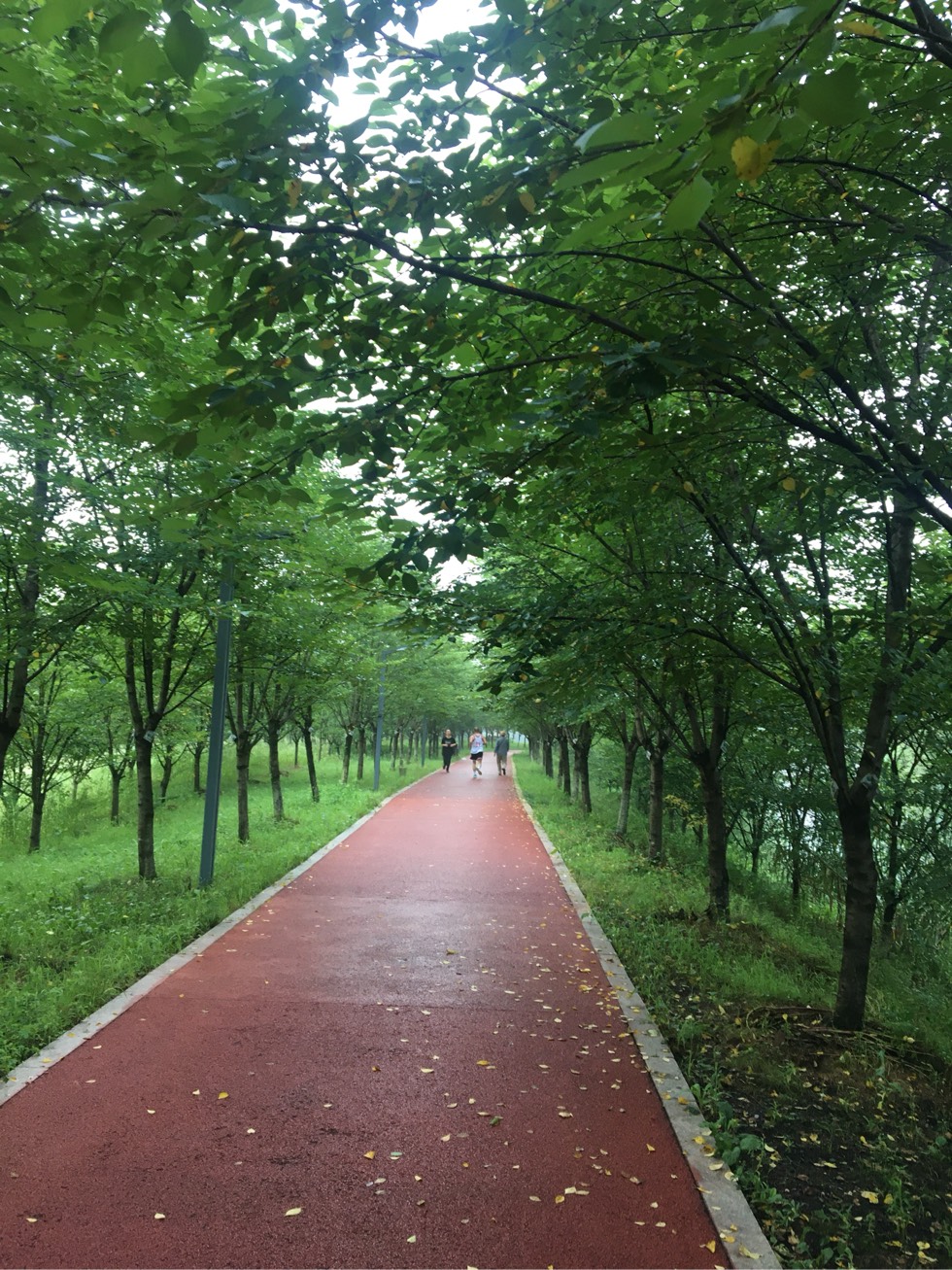 100940owlgiudn1sbcz13d.jpg