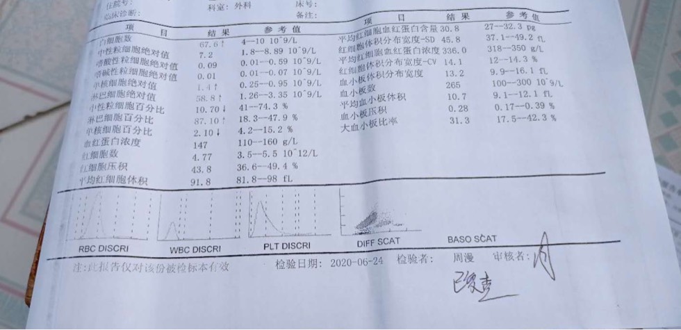 151302al9rbr14hjn791jb.jpg