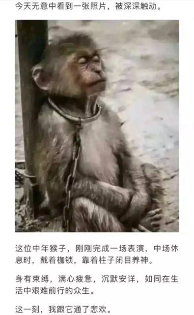 172726zp3i9tu499hehihf.jpg