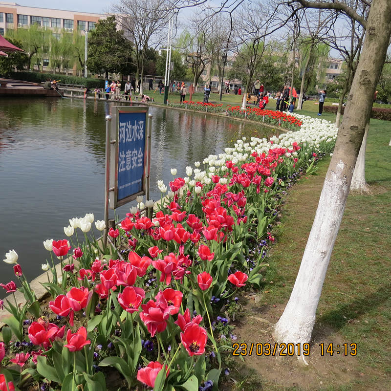 IMG_7913.JPG
