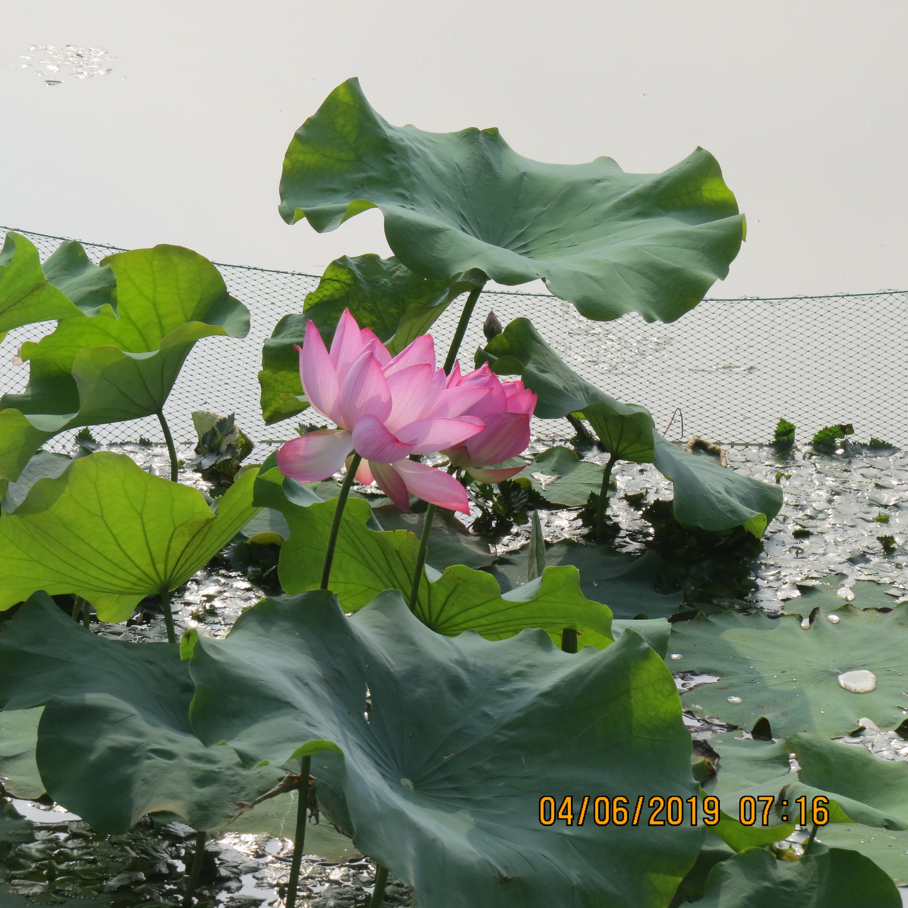 IMG_8873.JPG