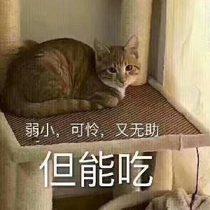 125723ljoco2s9e9e1267x.jpg